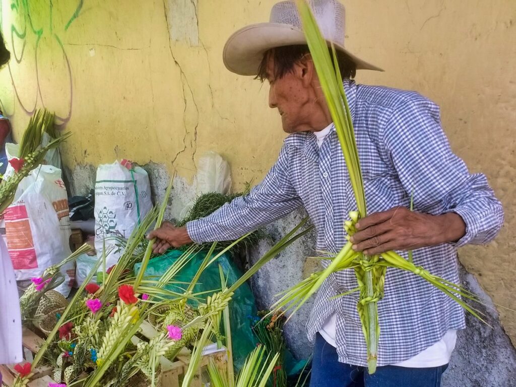 dia de ramos cuentepec